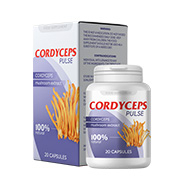Cordyceps Pulse EU Free Produkt