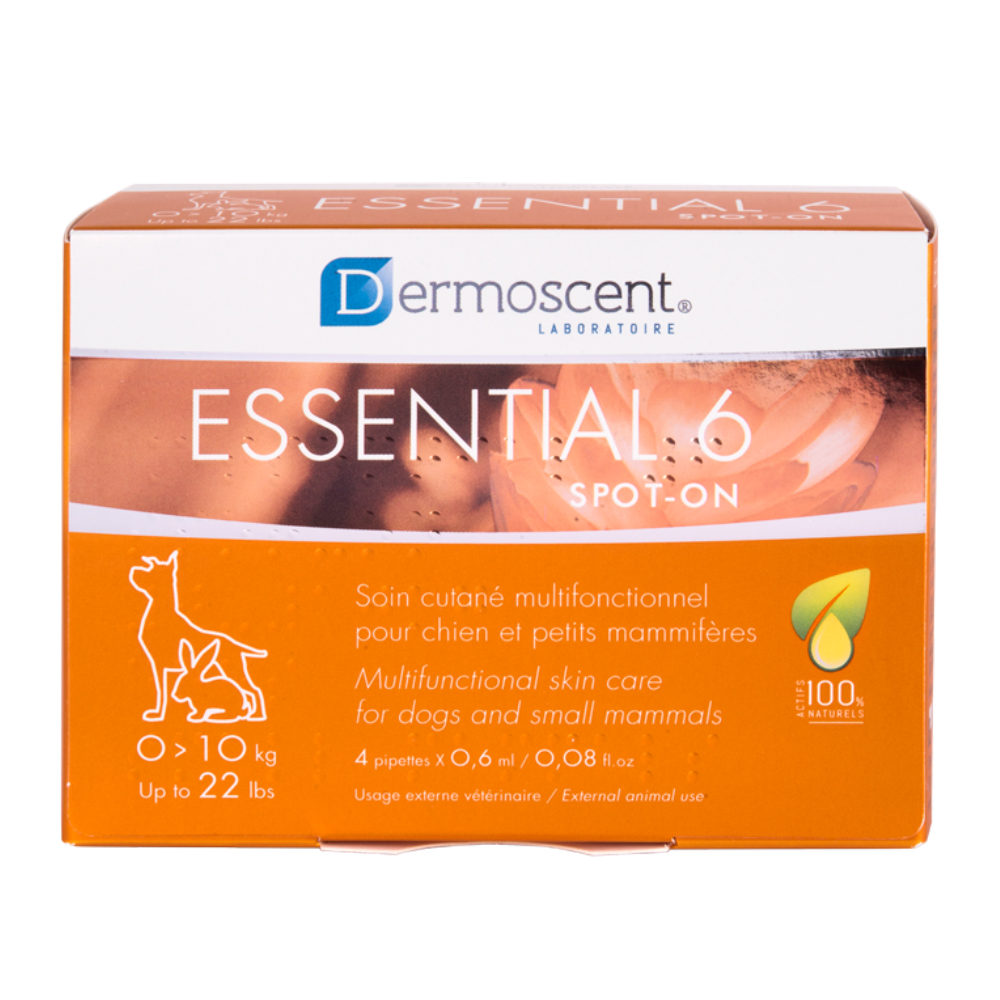 Derma Essential Produkt