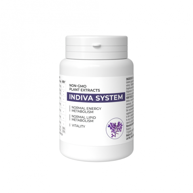 Indiva System Full Produkt