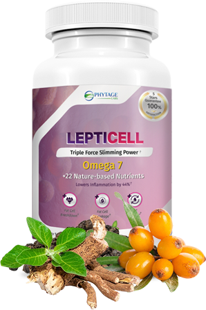 LeptiCell Produkt