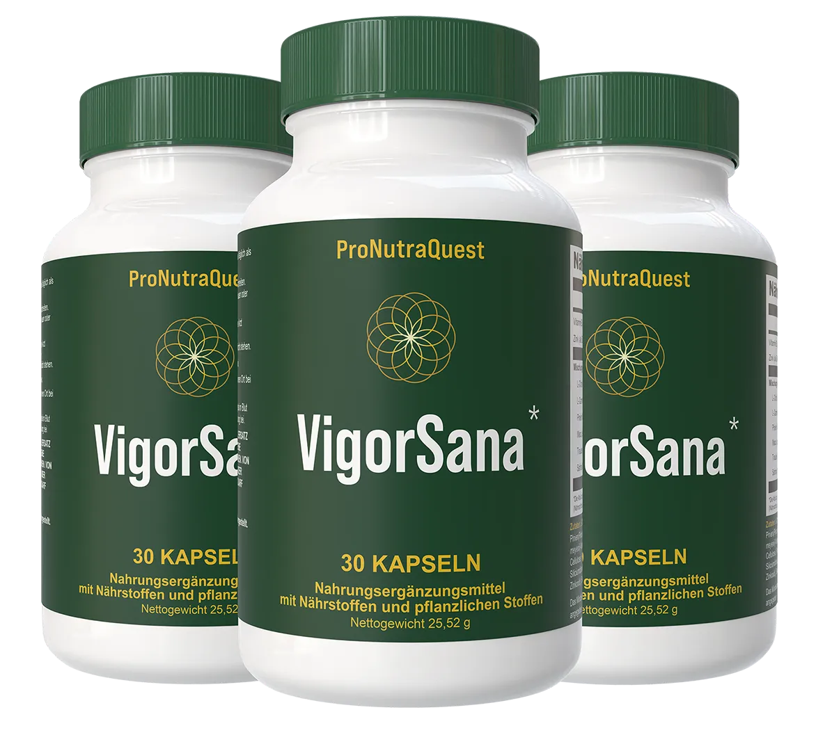VigorSana® – Natürliches Energie- und Vitalitäts-Unterstützungssystem