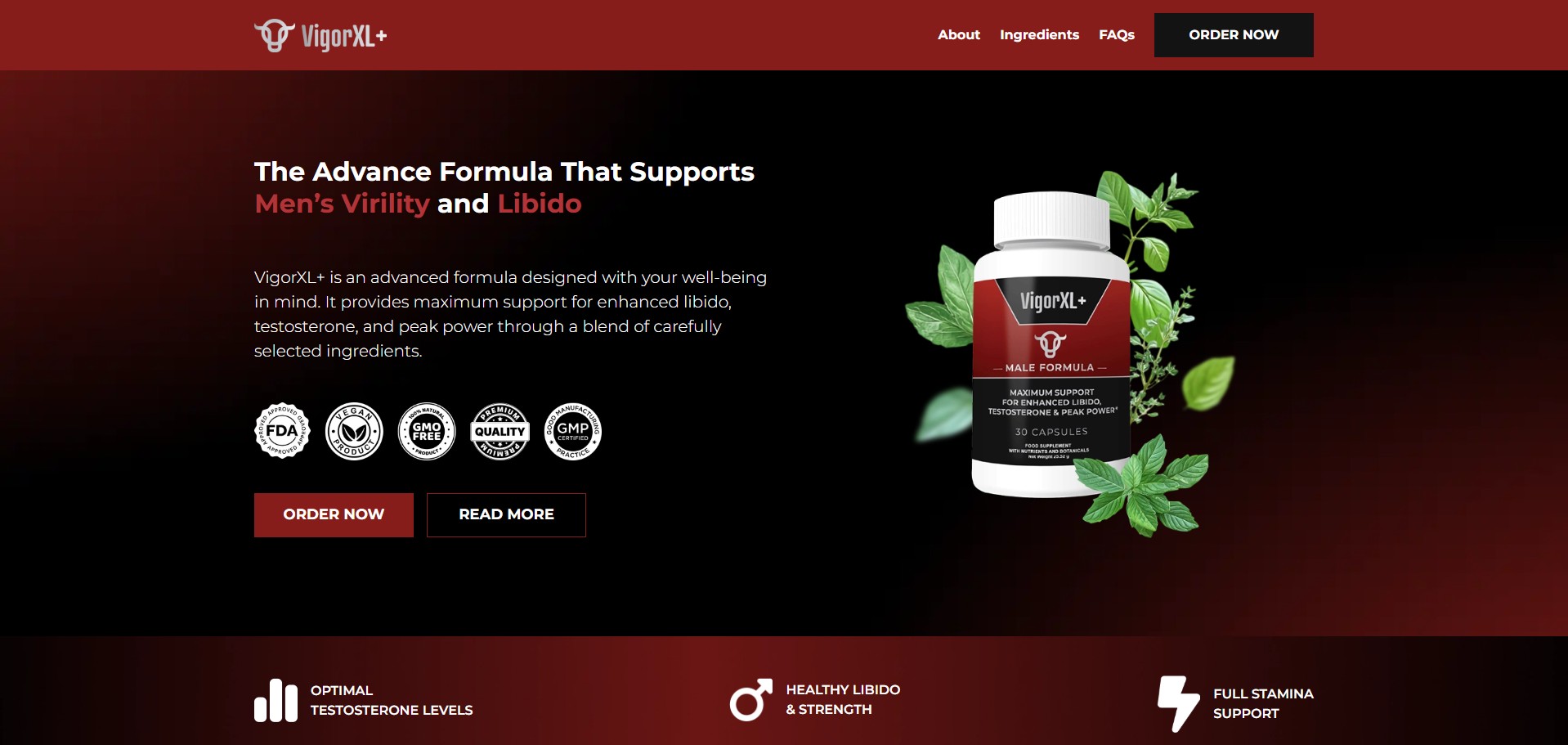 VigorXL Produkt