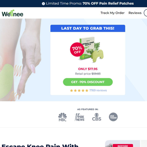 Wellnee Pain Relief Patches